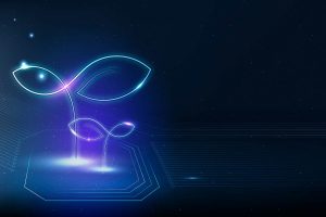 5 smart ways to make AI sustainable